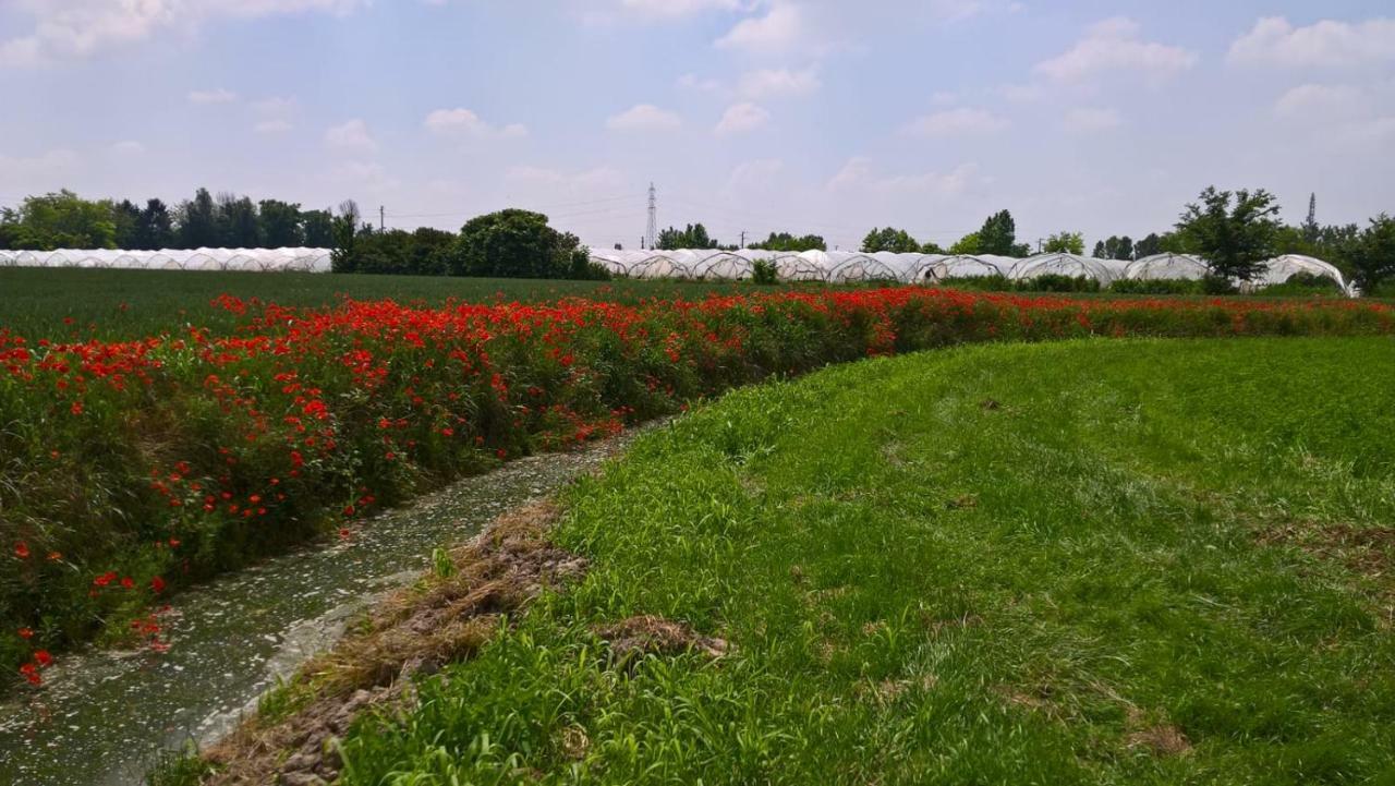 Agriturismo Cipolli E Podo Corte Carlini Mantua Buitenkant foto