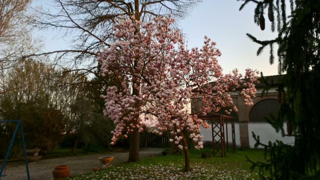 Agriturismo Cipolli E Podo Corte Carlini Mantua Buitenkant foto