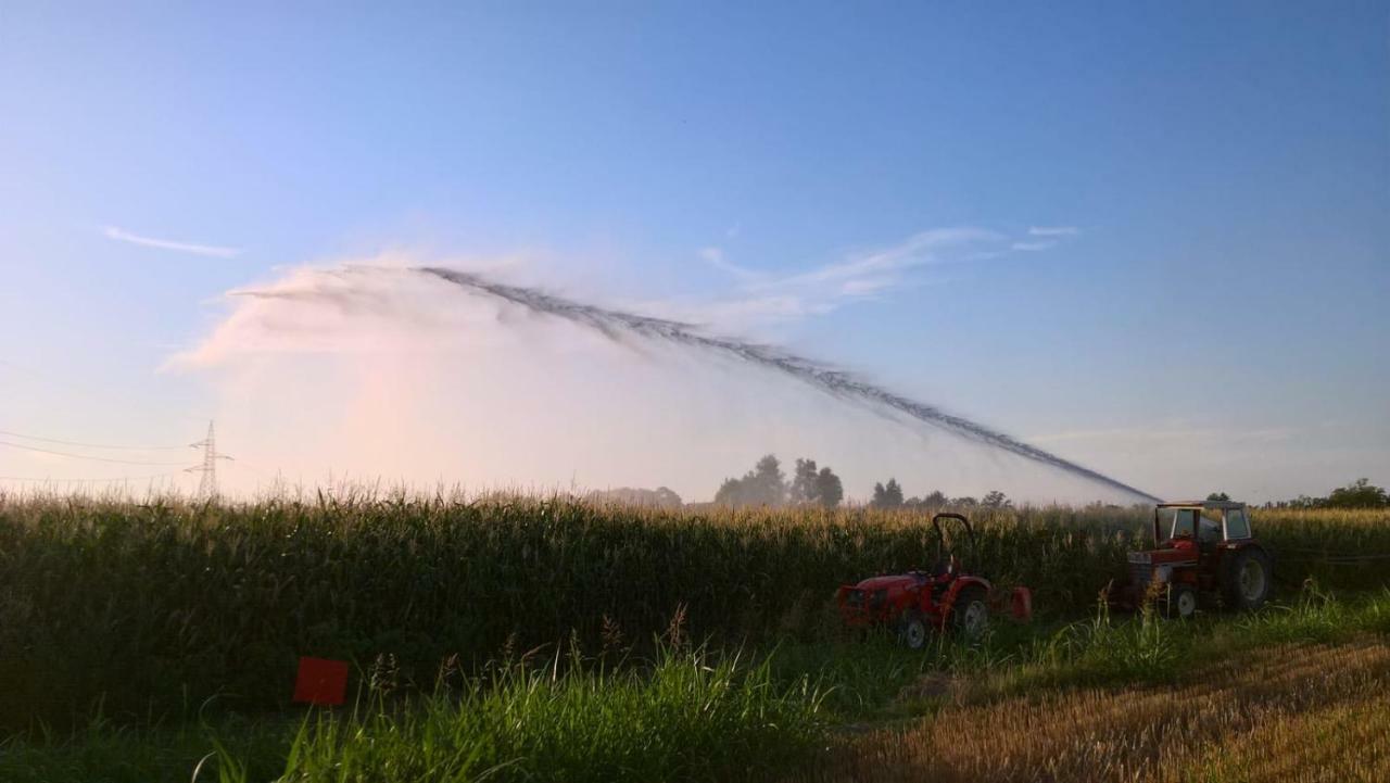 Agriturismo Cipolli E Podo Corte Carlini Mantua Buitenkant foto