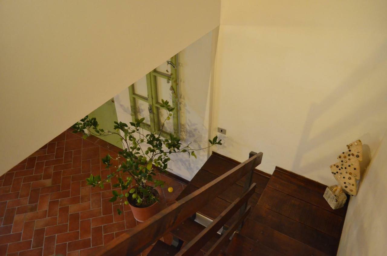 Agriturismo Cipolli E Podo Corte Carlini Mantua Buitenkant foto