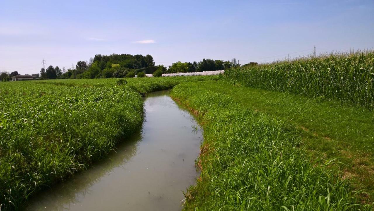 Agriturismo Cipolli E Podo Corte Carlini Mantua Buitenkant foto