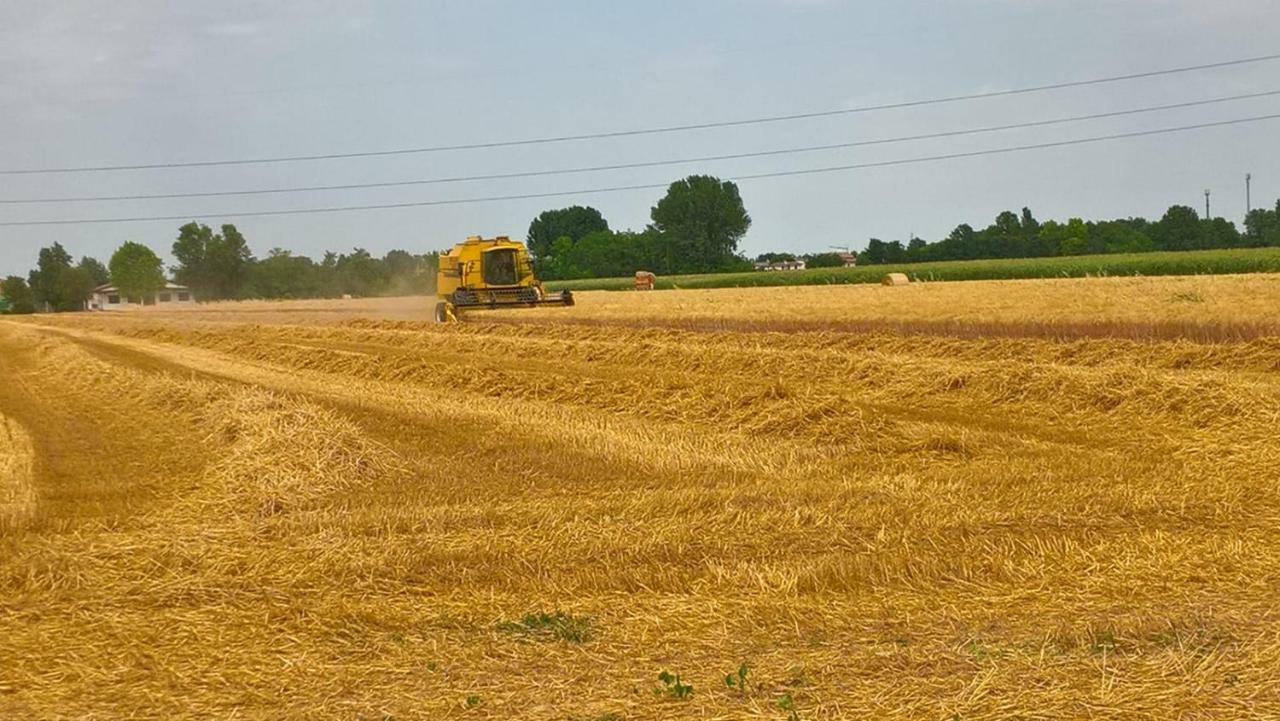 Agriturismo Cipolli E Podo Corte Carlini Mantua Buitenkant foto